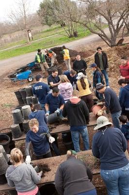 Tree Bank Work Day!