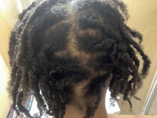 FRESH STARTER LOCS BY SLIM