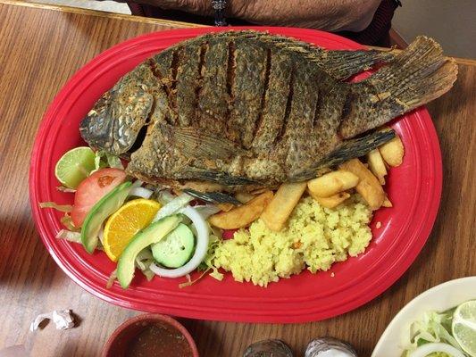 Tilapia Mojarra was amazing!!