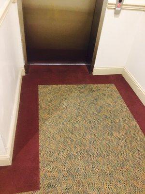 Professional carpet cleaning results.