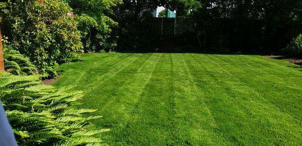 Emerald Lawn Maintenance - Lake Oswego, OR - May 2019