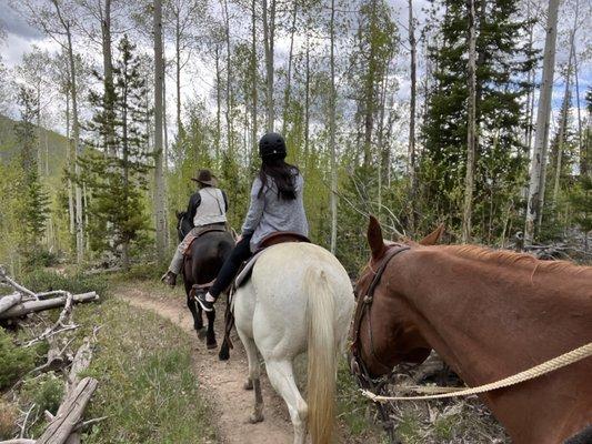 Horseback riding