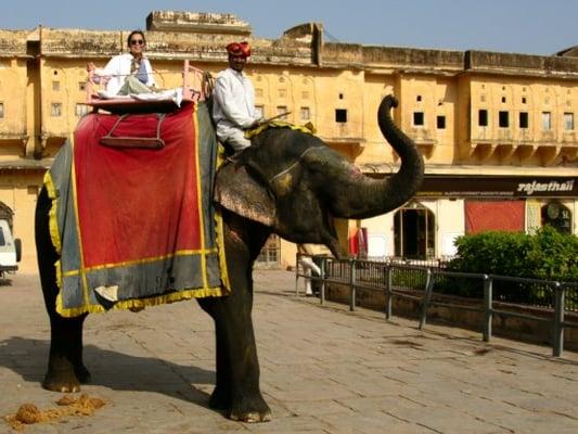 Business Owner, Barbara, on an elephant ride up to a castle on the way to Tajah Mahal