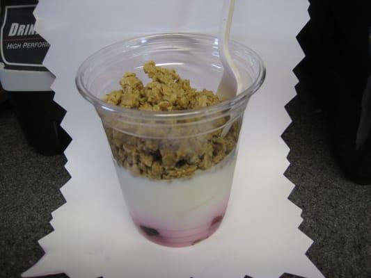 Nancy`s Yogurt W/All Natural Apple Pecan Granola.