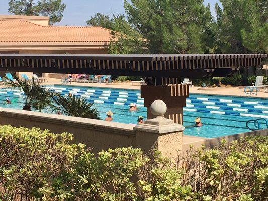 Outdoor pool from patio 9.3.17