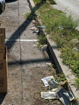 Family Dollar (Enright/Kingshighway) - parking lot litter