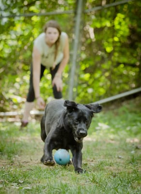 This guest is enjoying a play time in one of our natural play yards. We have the luxury of outdoor, grassy parks for our guests!