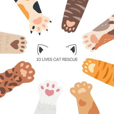 10 Lives Cat Rescue