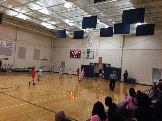 Basketball or a cat herd!