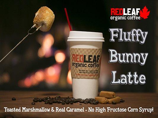 Red Leaf Organic Coffee