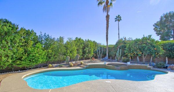 Pool with Palm Trees and Cacti