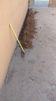 Trenching prior to liquid treatment for Subterranean Termites.