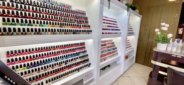 Their regular polish section