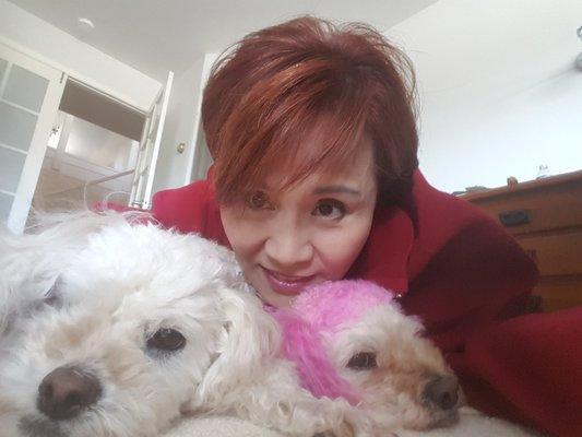 Kim with her two Poodle pups Yobo and PoPo meaning Darling and Kiss in Korean