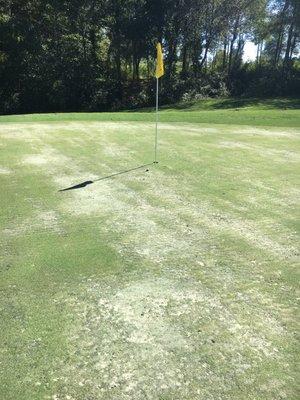 Greens and bunkers.