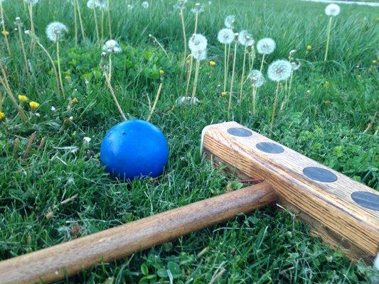 mallet and balls, on grass with dandelions.