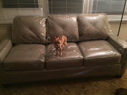 Couch with plastic slipcover that Nelson made.