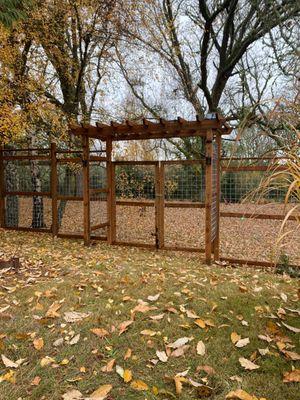 backyard fence and arbor