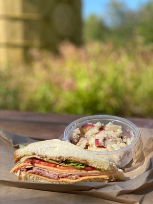 Country Ham, Turkey on Sourdough + German Potato Salad, picnic style at the park