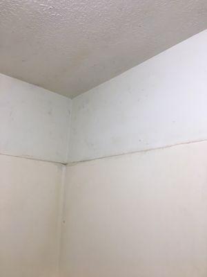 Mold in bathroom due to water leaks