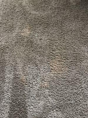 Damage carpet