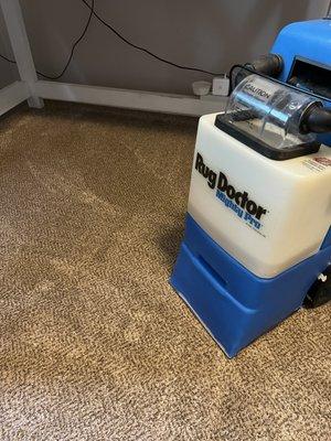 Carpet stains? No problem! Pet odors? We got you covered!