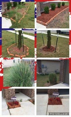 Flower bed restoration