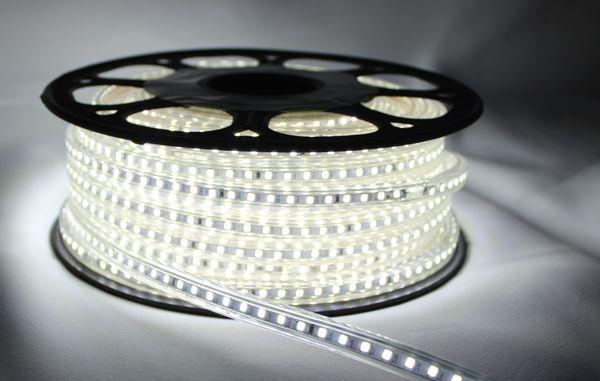 LED flat rope in 110v 
 82ft ropes