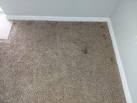 Bright Solutions Carpet & Tile Cleaning