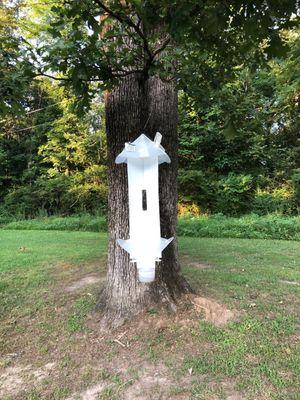 Unique bird feeder with no seed in it :(