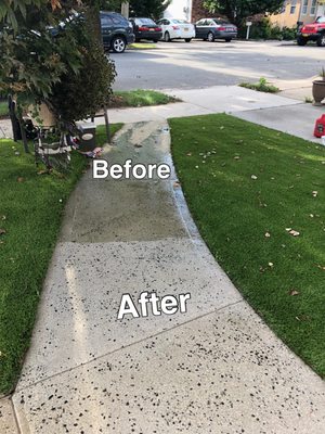 Pressure wash