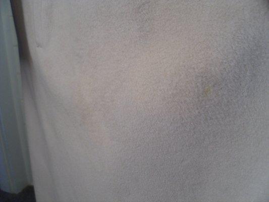 Faded and changed color after asking them to remove a few small stains. Totally unprofessional.