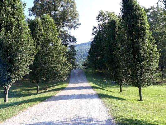 Antler Drive approach to Fox View Cottage