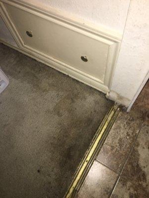 Water damage in closet from leaking shower