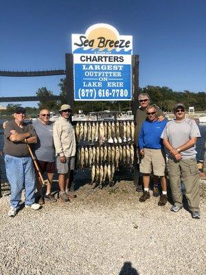 Walleye Limit