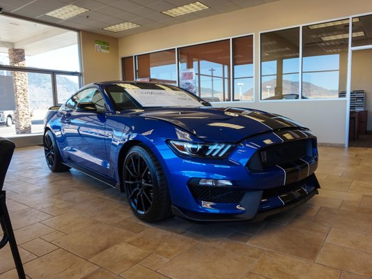 Check out this BEAUTIFUL 2017 Ford Mustang Shelby!