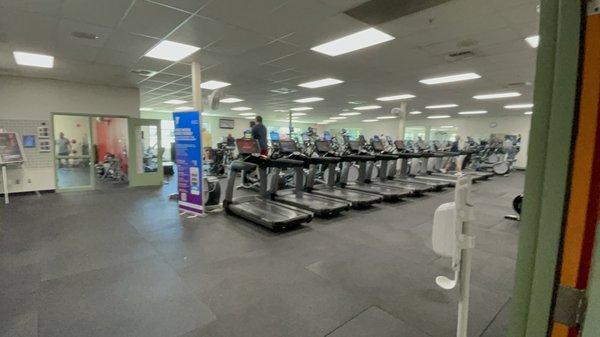 Cardio Equipment