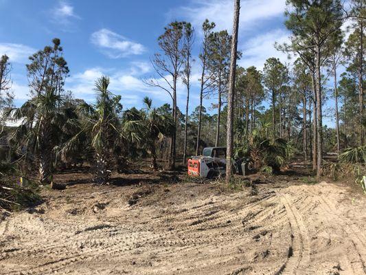 Land Clearing & Debris Removal