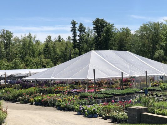 Greenhouses