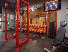 FX Zone: Free Weighted Gym Area