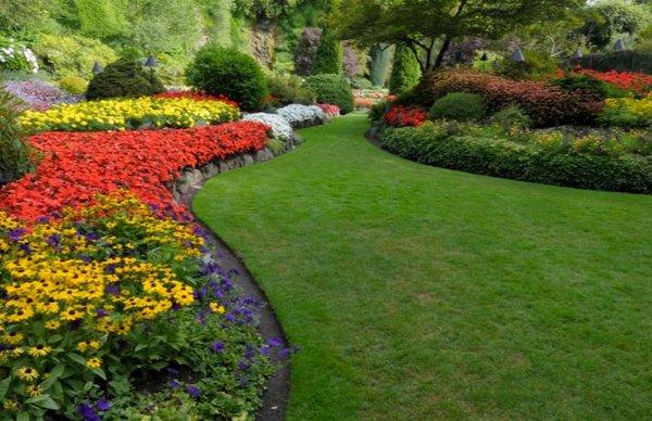 Commercial Landscaping Services