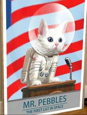 Mr Pebbles  "First Cat In Space"  [Fallout 4 Memorabillia]!!