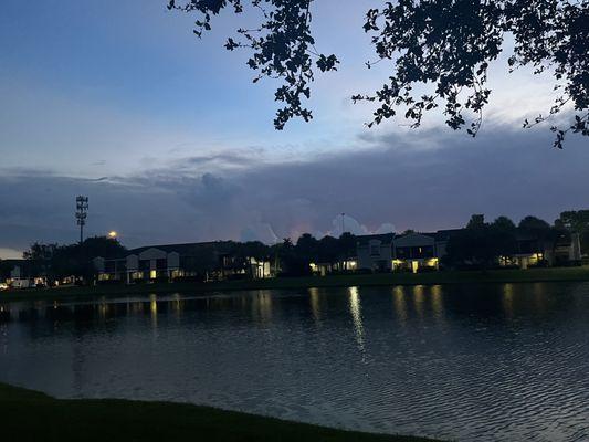 Pond view at night