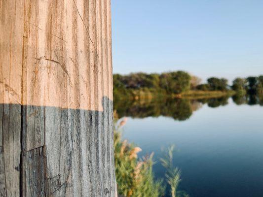 Looking over the water