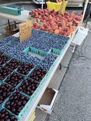 Ravinia Farmers Market