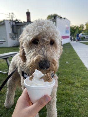 Pup sundae!