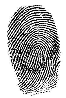 Live Scan and Ink Fingerprinting!