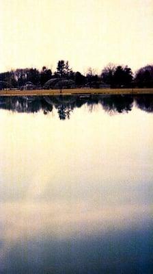 View of one of the ponds along the rec center's outdoor path