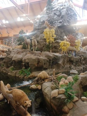 Dundee Michigan Cabela's