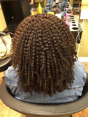 Fatty Professional African Hair Braiding & weaving